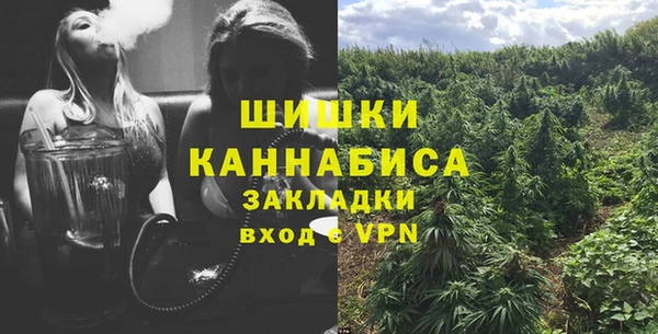 гидра Майский